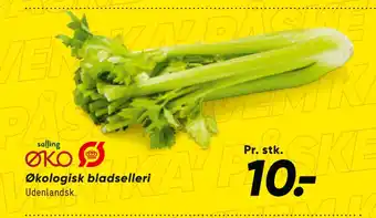 Bilka Økologisk bladselleri tilbud