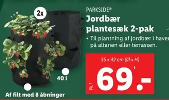 Jordbær plantesæk 2-pak