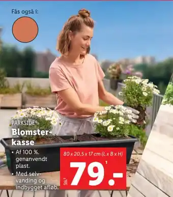 Lidl PARKSIDE Blomster-kasse tilbud
