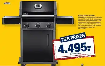 Napoleon Gasgrill Rogue425