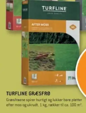 TURFLINE GRÆSFRØ