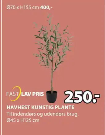 JYSK HAVHEST KUNSTIG PLANTE tilbud