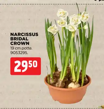 jem & fix NARCISSUS BRIDAL CROWN tilbud