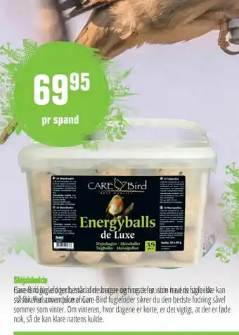 Solsikkefrø Mejsebolde