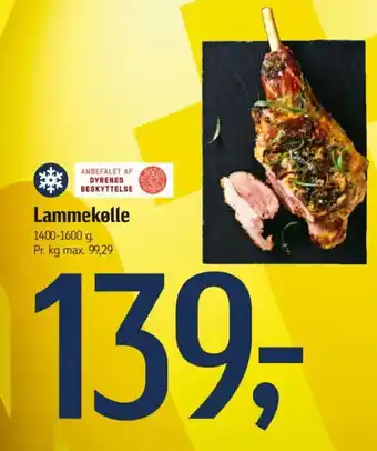 Lammekølle