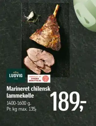 Føtex Marineret chilensk lammekølle tilbud