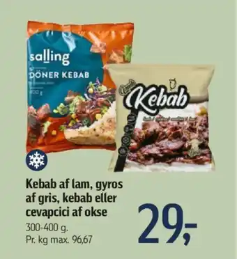 Kebab af lam, gyros af gris, kebab eller cevapcici af okse