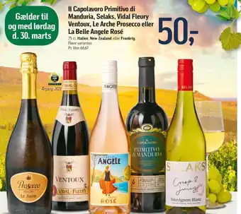 Føtex Il Capolavoro Primitivo di Manduria, Selaks, Vidal Fleury Ventoux, Le Arche Prosecco eller La Belle Angele Rosé tilbud