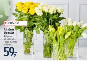 Føtex Afskårne blomster tilbud