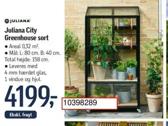 Juliana City Greenhouse sort