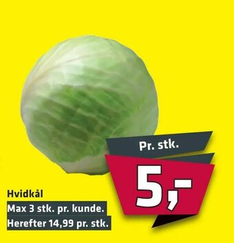 Hvidkål