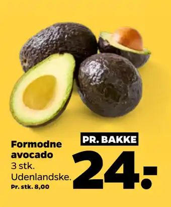 Netto Formodne avocado tilbud