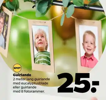 Netto Guirlande tilbud