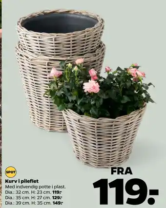 Netto Kurv i pileflet tilbud