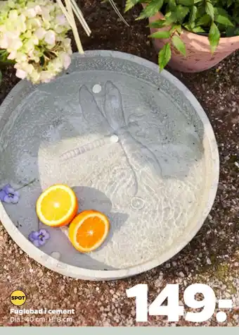 Fuglebad i cement