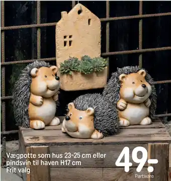 REMA 1000 Vægpotte som hus 23-25 cm eller pindsvin til haven H17 cm Frit valg tilbud