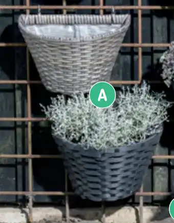 REMA 1000 Polyrattan hængekurv til væg 30x18x18 cm, hængepotte H15xØ25 cm, altanpotte til ophæng H18xØ27 cm eller potte 13.5x36x15.5 cm tilbud