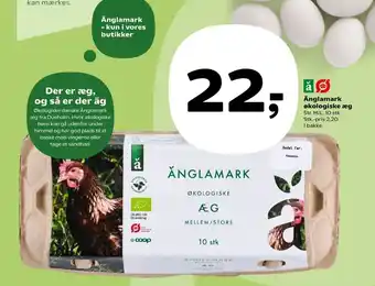 Kvickly Økologiske æg M/L tilbud