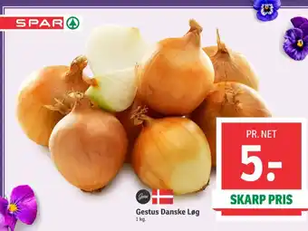 SPAR Løg tilbud