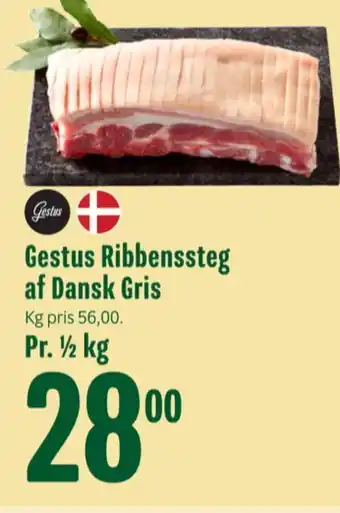 Ribbensteg