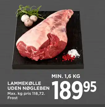 MENY LAMMEKØLLE UDEN NØGLEBEN tilbud