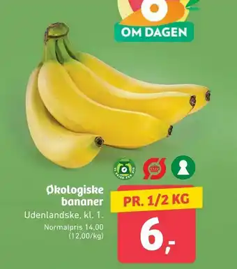 Økologiske bananer