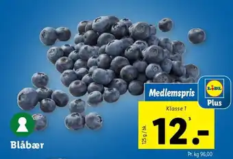 Lidl Blåbær tilbud