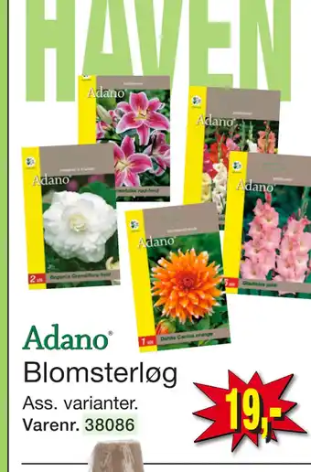 Harald Nyborg Blomsterløg tilbud
