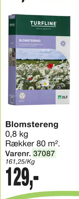 Harald Nyborg Blomstereng tilbud