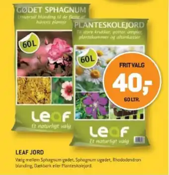 XL-BYG LEAF JORD tilbud