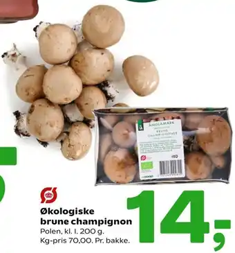 Coop 365 Økologiske Brune Champignon tilbud