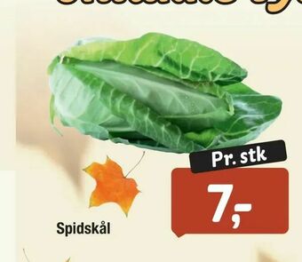 Spidskål