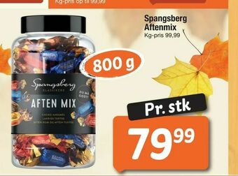 Fakta Tyskland Spangsberg Aftenmix tilbud