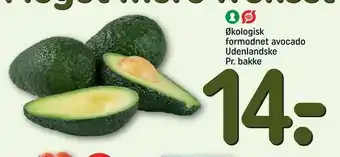 REMA 1000 Økologisk formodnet avocado tilbud