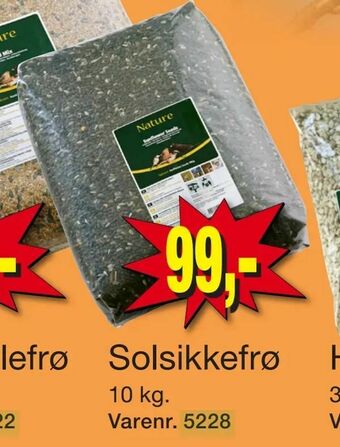Harald Nyborg Solsikkefrø tilbud