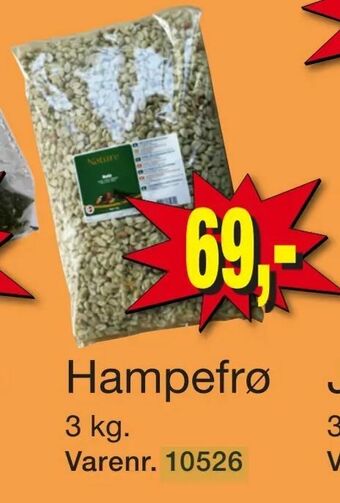 Hampefrø