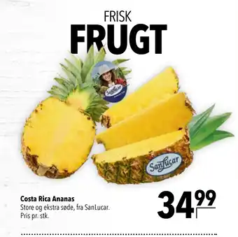 Citti Costa Rica Ananas tilbud