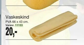 Vaskeskind