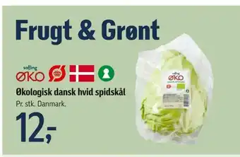 Føtex Økologisk dansk hvid spidskål tilbud