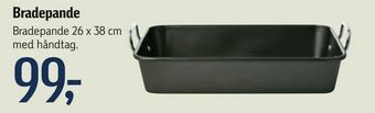 Bradepande