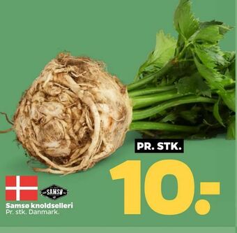 Netto Samsø knoldselleri tilbud