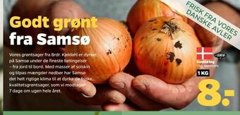 Samsø løg