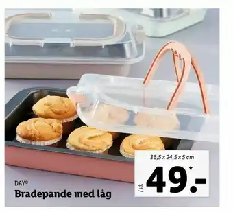 Bradepande med låg