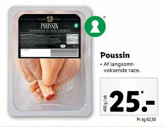 Poussin