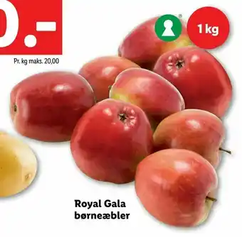 Royal Gala børneæbler