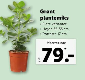 Grønt plantemiks