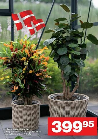 Bauhaus Store grønne planter tilbud