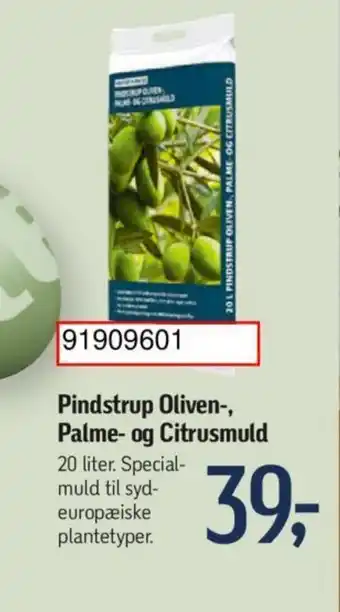 Føtex Pindstrup Oliven-, Palme- og Citrusmuld tilbud