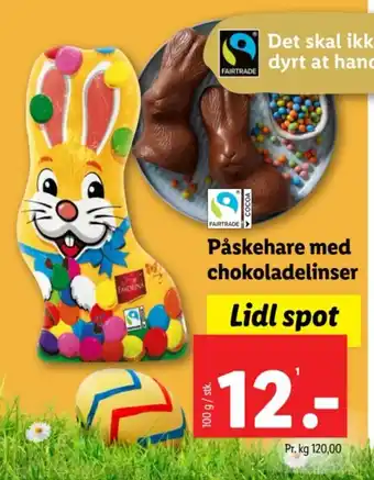 Lidl Påskehare med chokoladelinser tilbud
