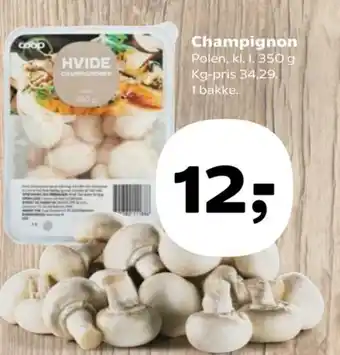 Kvickly Champignon tilbud